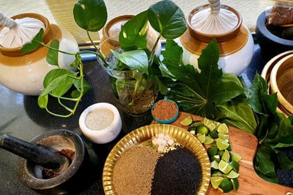 brisbane ayurveda